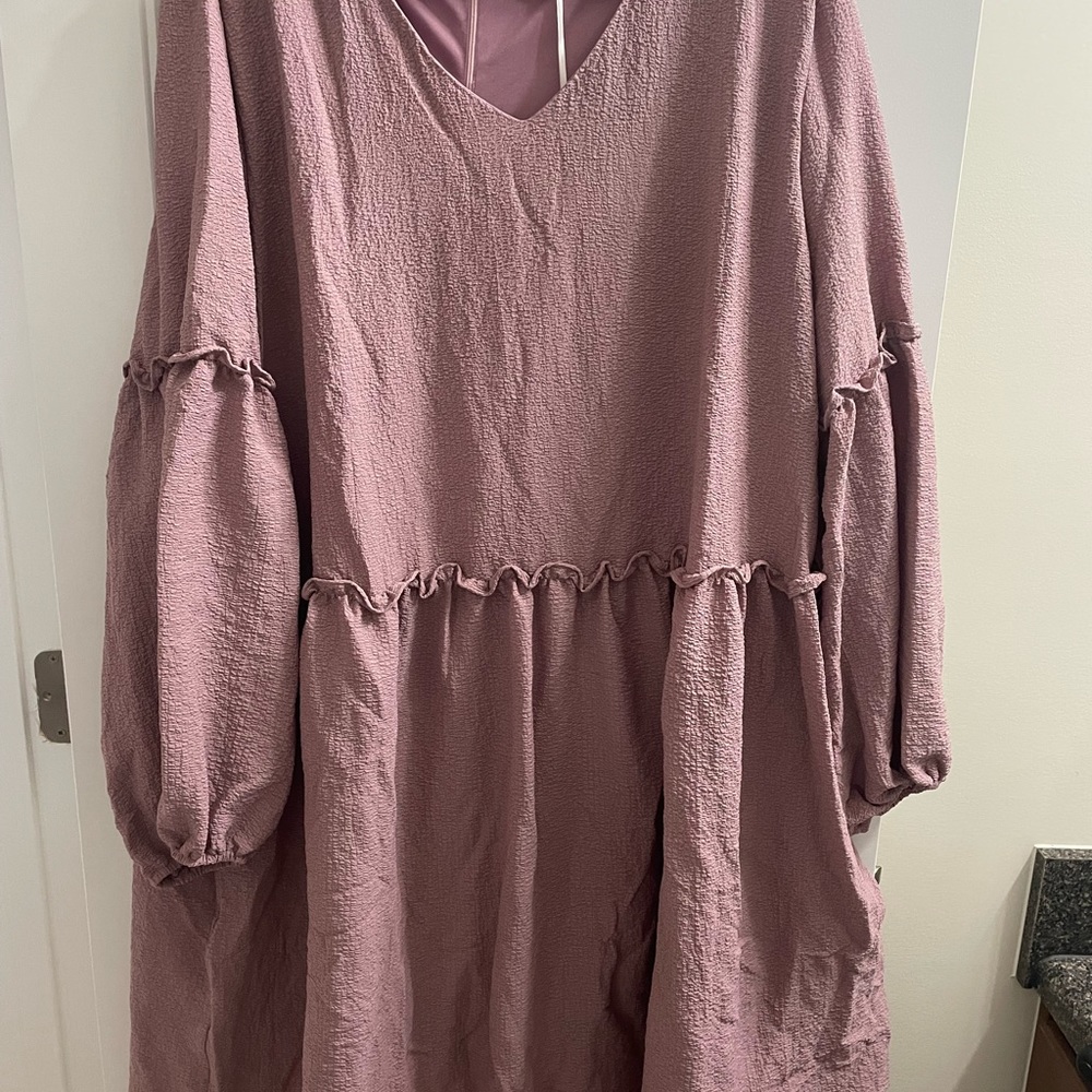 Size 3XL NWT Plum Boutique Dress